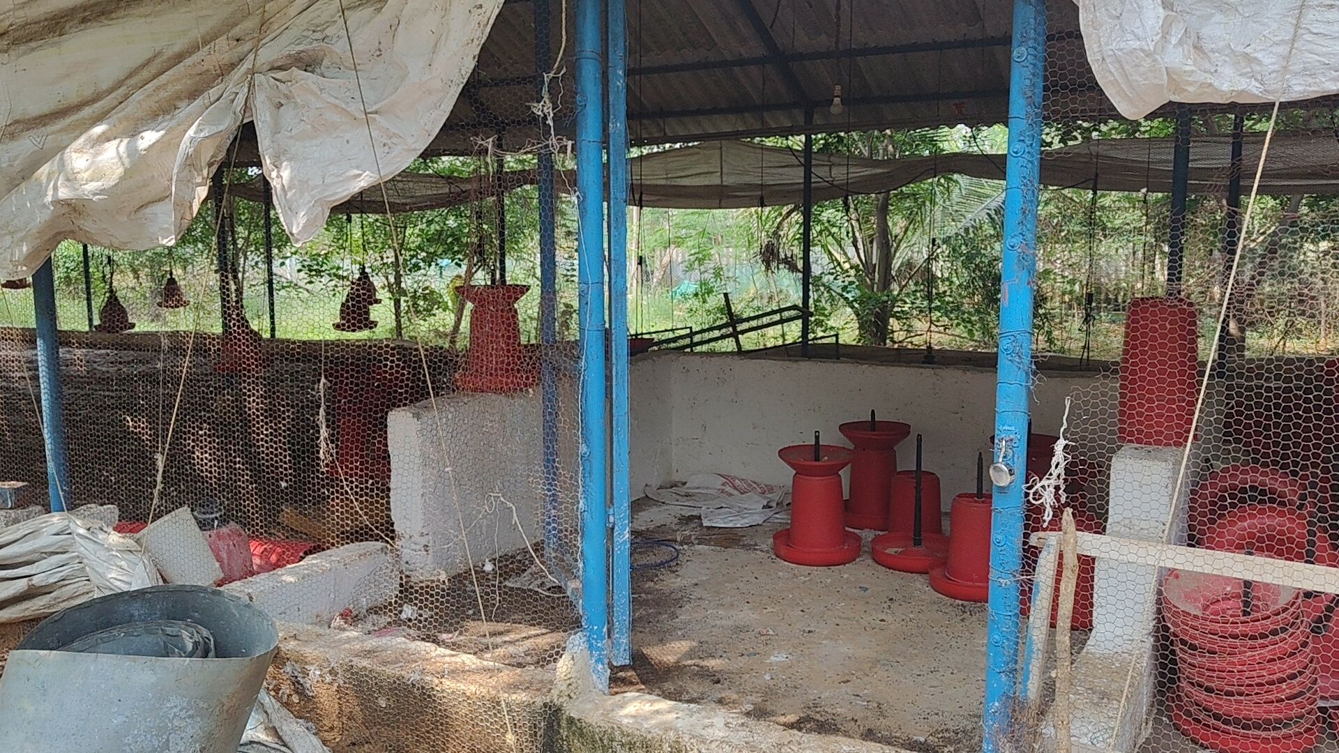 IMG20251108140442_01